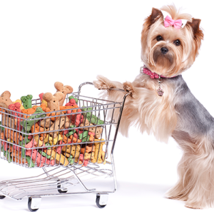 yorkie-with-shopping-cart